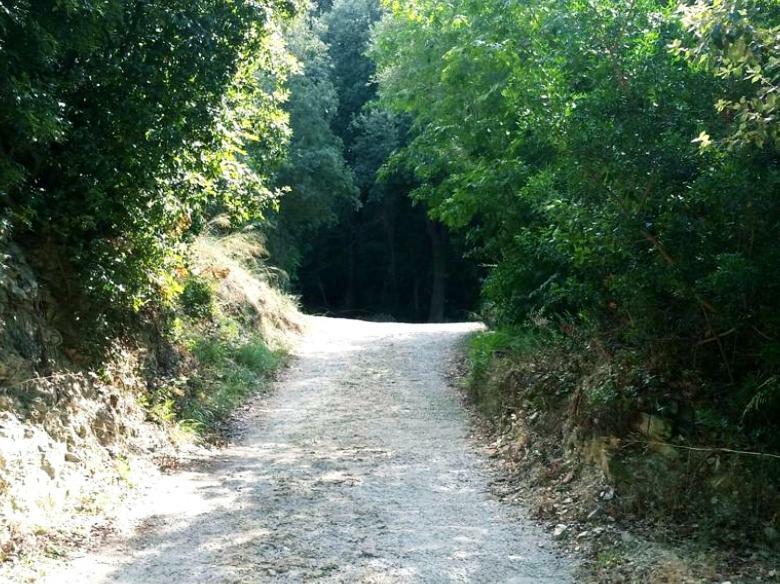 Ma Vie La Daire Patrimonio Dış mekan fotoğraf