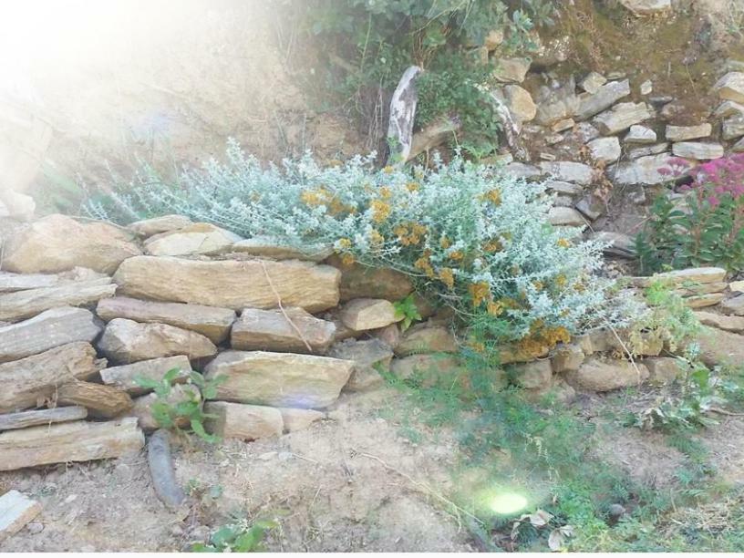 Ma Vie La Daire Patrimonio Dış mekan fotoğraf